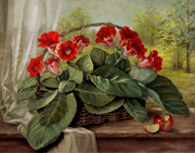 Gloxinia & Spring Hillside