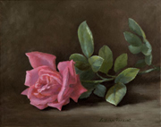 Gentle Beauty