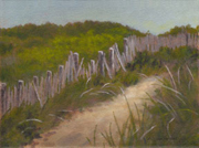 Dune Path I