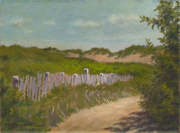 Dune Path II