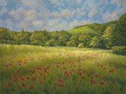 Giverney Poppoy Field