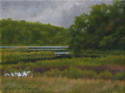 Indian Field Creek