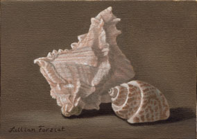 Murex & Leopard Snail