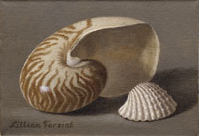 Nautilus & Caribbean Arc